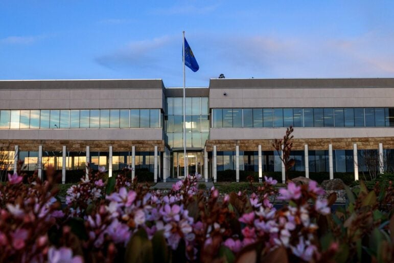 An office building is framed with flowers in the foreground at dusk