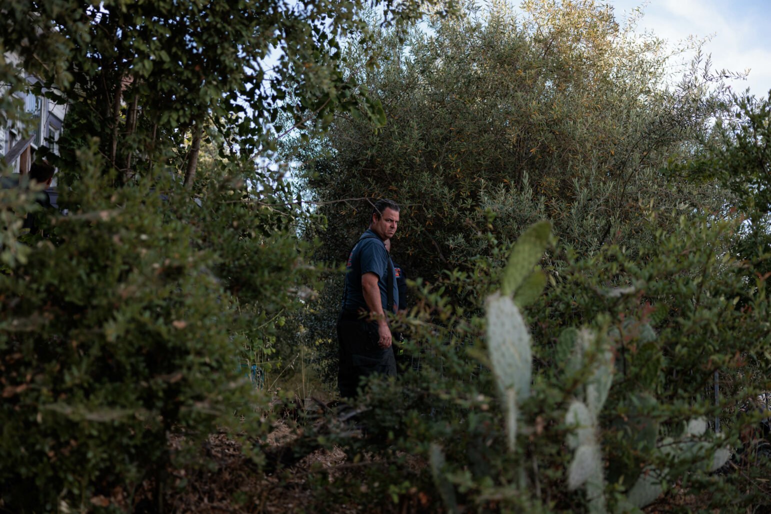 A Vallejo firefighter moving through dense greenery, looking directly at the camera, conveying a sense of alertness and preparedness. The background is lush and green with a hint of residential structures barely visible, so overgrown is the vacant property in the background.
