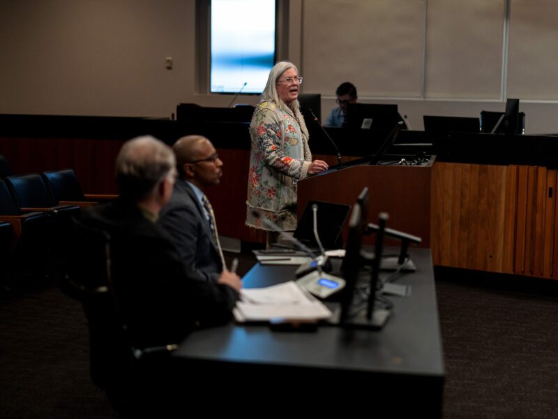 A white woman in her 50s with gray hair and wearing a floral print dress speaks from a public comment lectern at a city council meeting.
