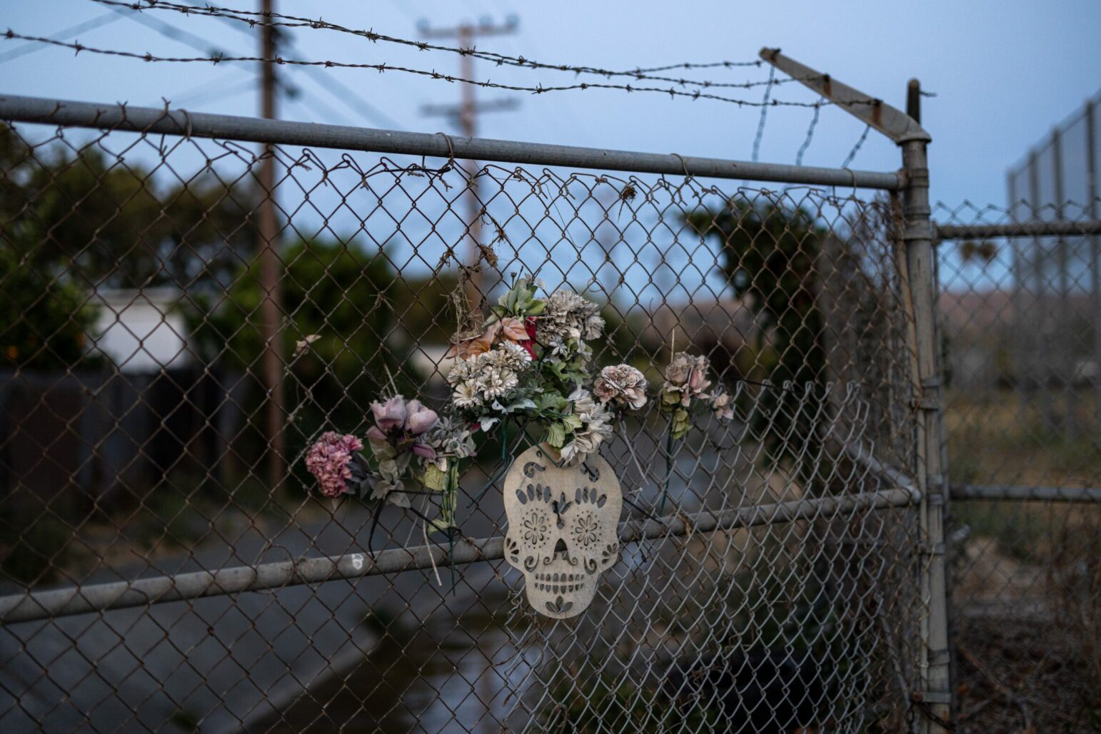 Artificial flowers frame a Día de los Muertos-style paper skull on a chain-link fence at dusk. There is barbed wire atop the fence and a canal in the background.