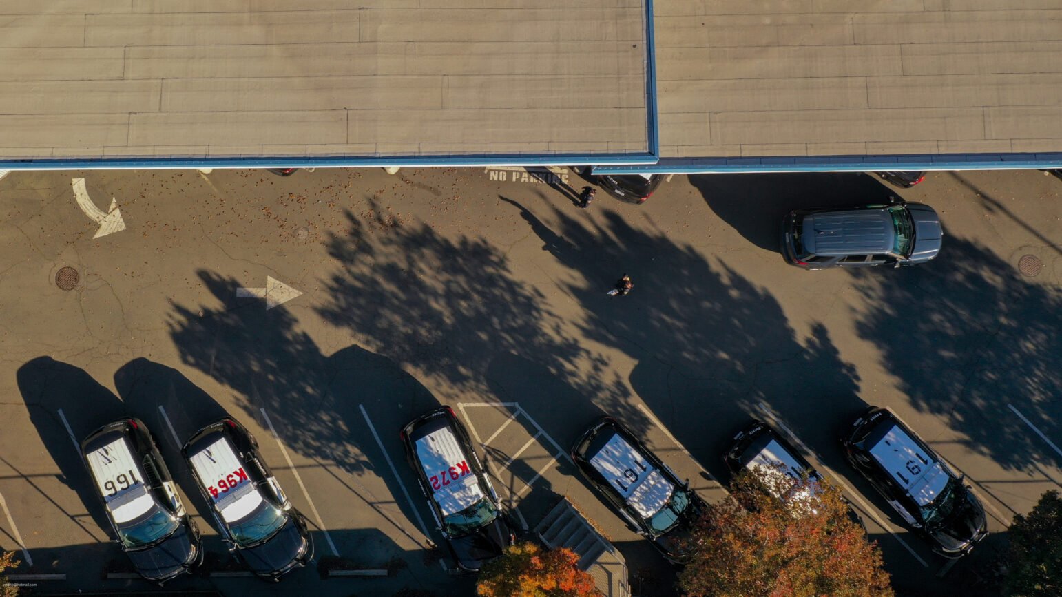 An aerial view captures the clear shadows of trees on a parking lot, with police cars lined up neatly beside a building in the calm of a bright, sunny day.