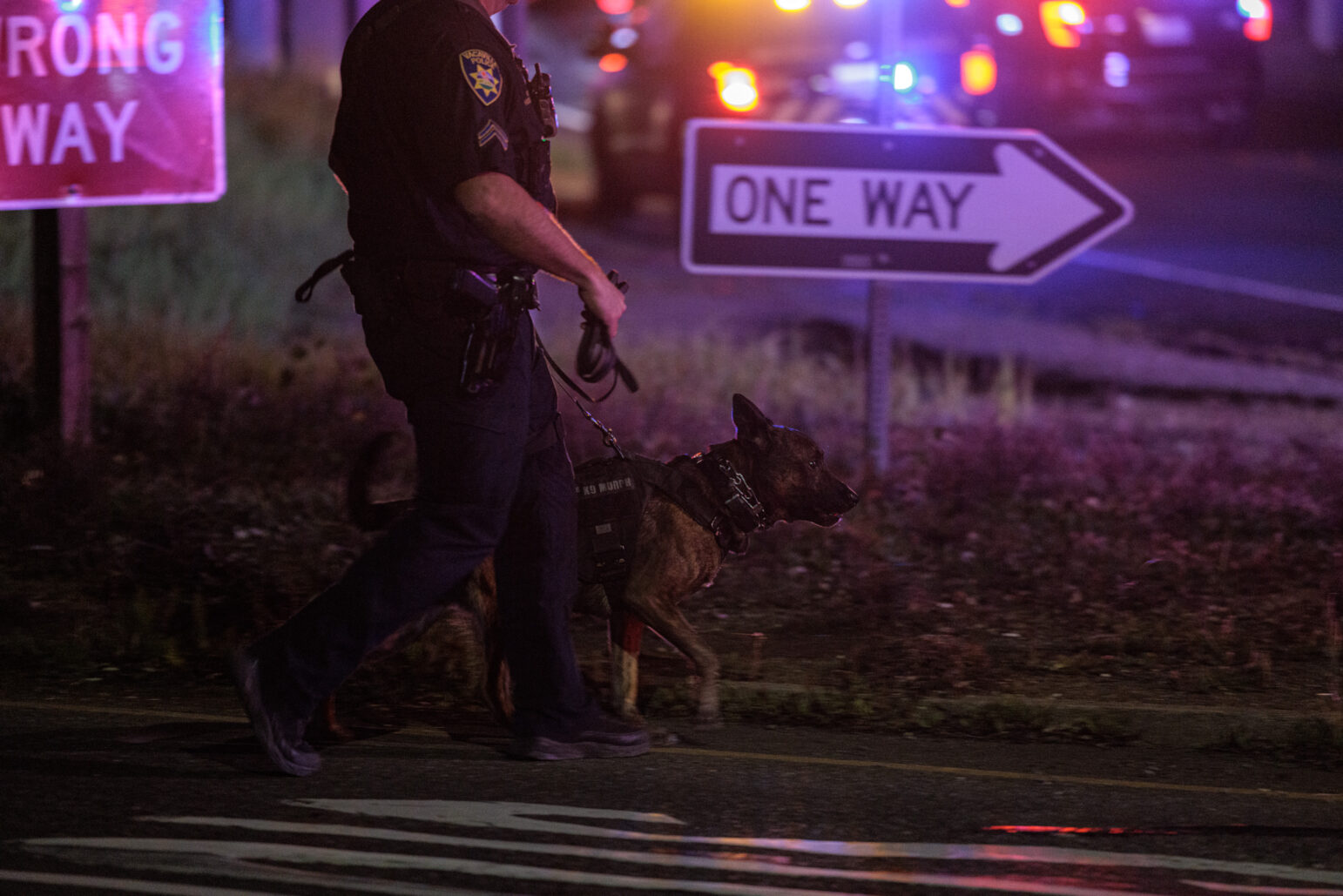 A police corporal at night, walking to the right of the frame with a focused police dog on a leash. Both are in front of a "ONE WAY" road sign, with the illuminated, colorful lights of police cars in the background.