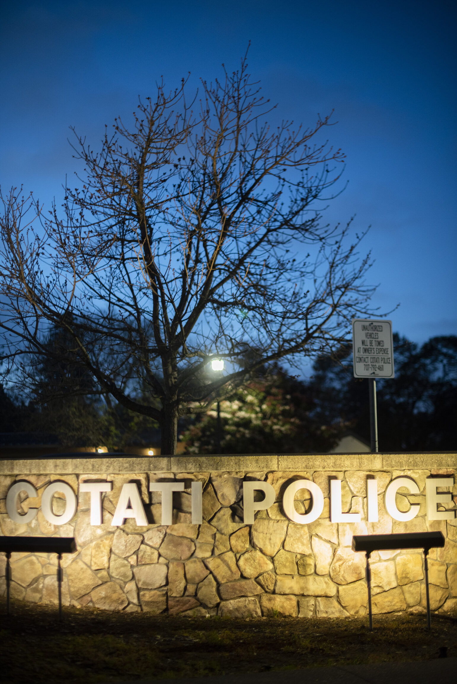Evening view of a stone sign with raised letters reading "COTATI POLICE" in front of a bare tree. The sign is lit from below, casting shadows on the letters, with a subdued dark blue sky in the background.