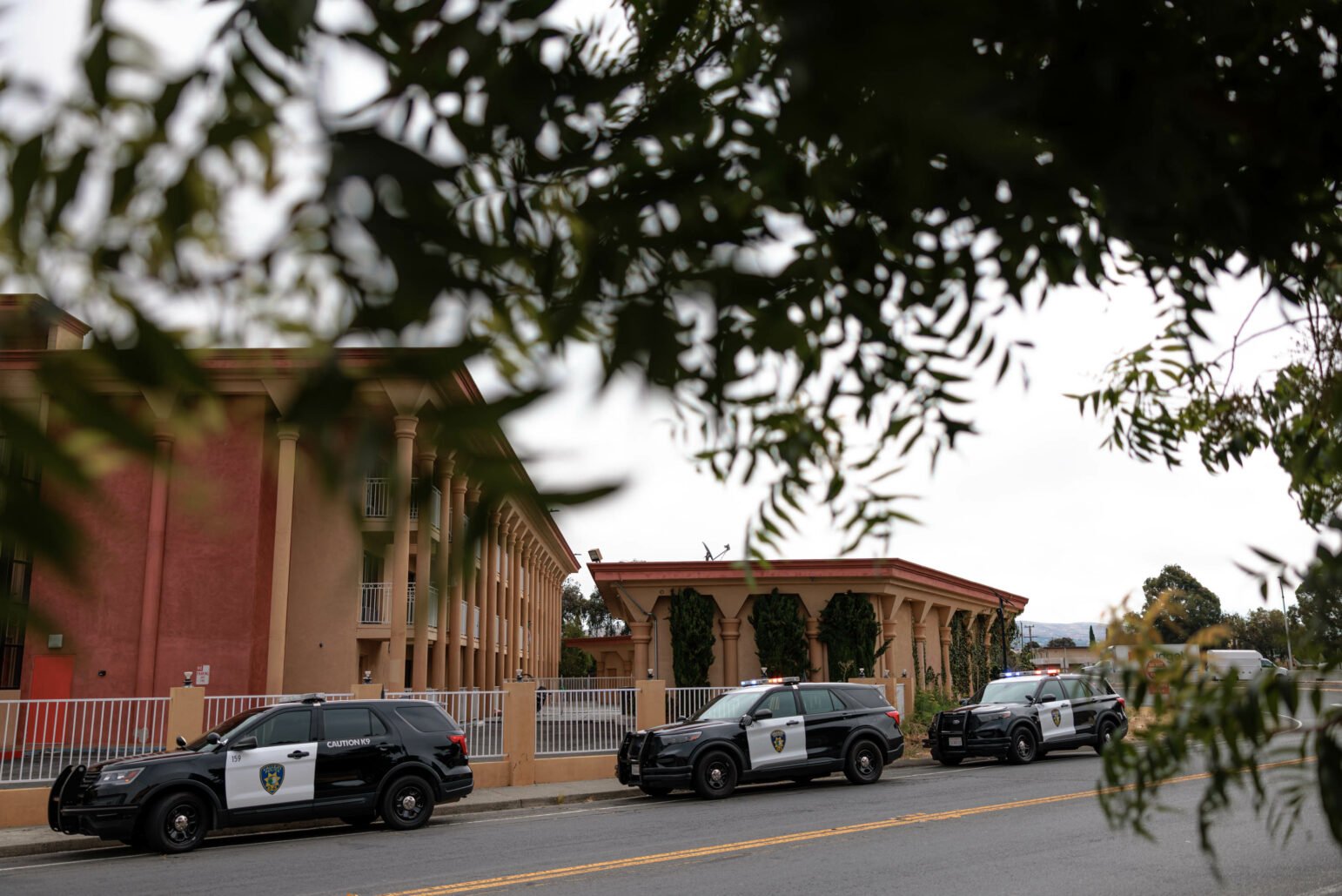 Police SUVs parked in front of a terracotta-colored building, viewed through the blurry leaves of a foreground tree