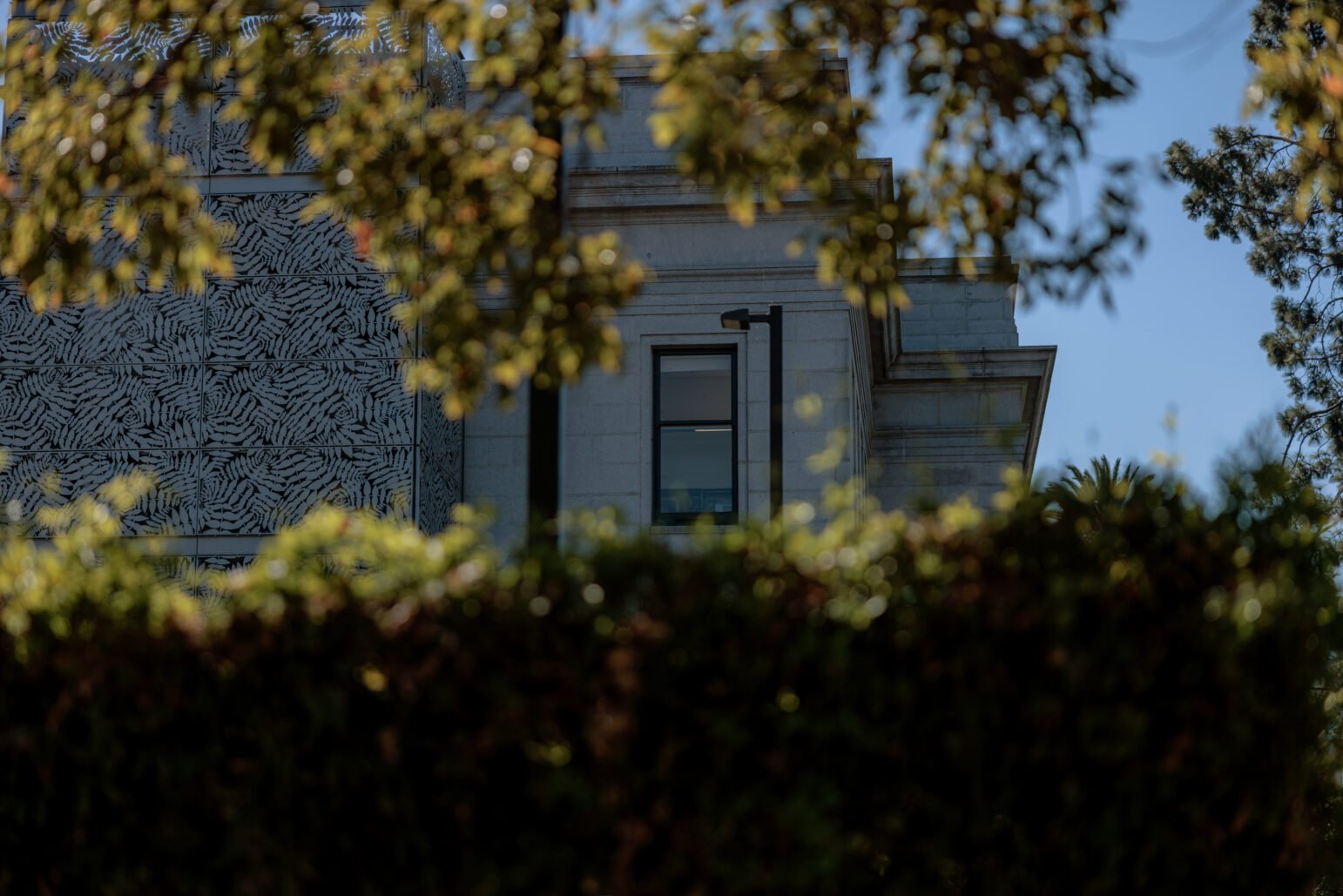 A partial view of the Old Solano Courthouse, framed by leafy trees and a hedge in the foreground. The building's light gray stone exterior is partially obscured, with modern patterned metalwork visible on one side. A single window is seen through the foliage, hinting at the structure’s historical architecture.