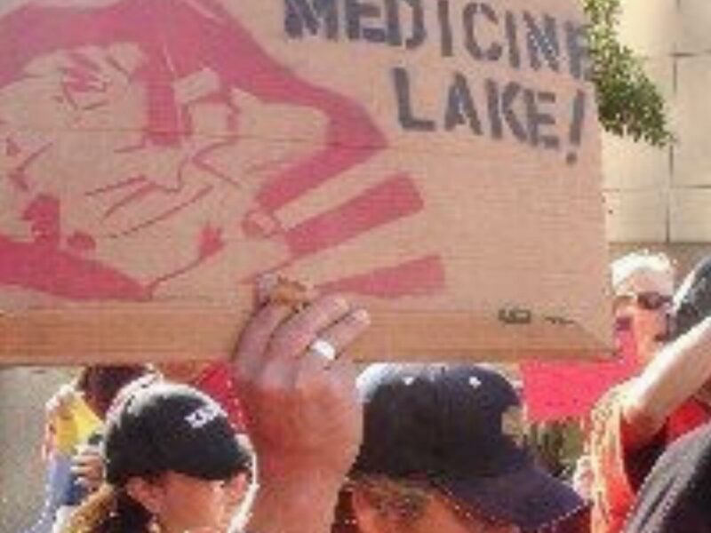 A man holds a cardboard sign with the words "Defend Medicine Lake!" The sign features a red design that appears to be an outline of the lake or surrounding area. He wears a navy blue cap and a red shirt, among a crowd of other protestors.