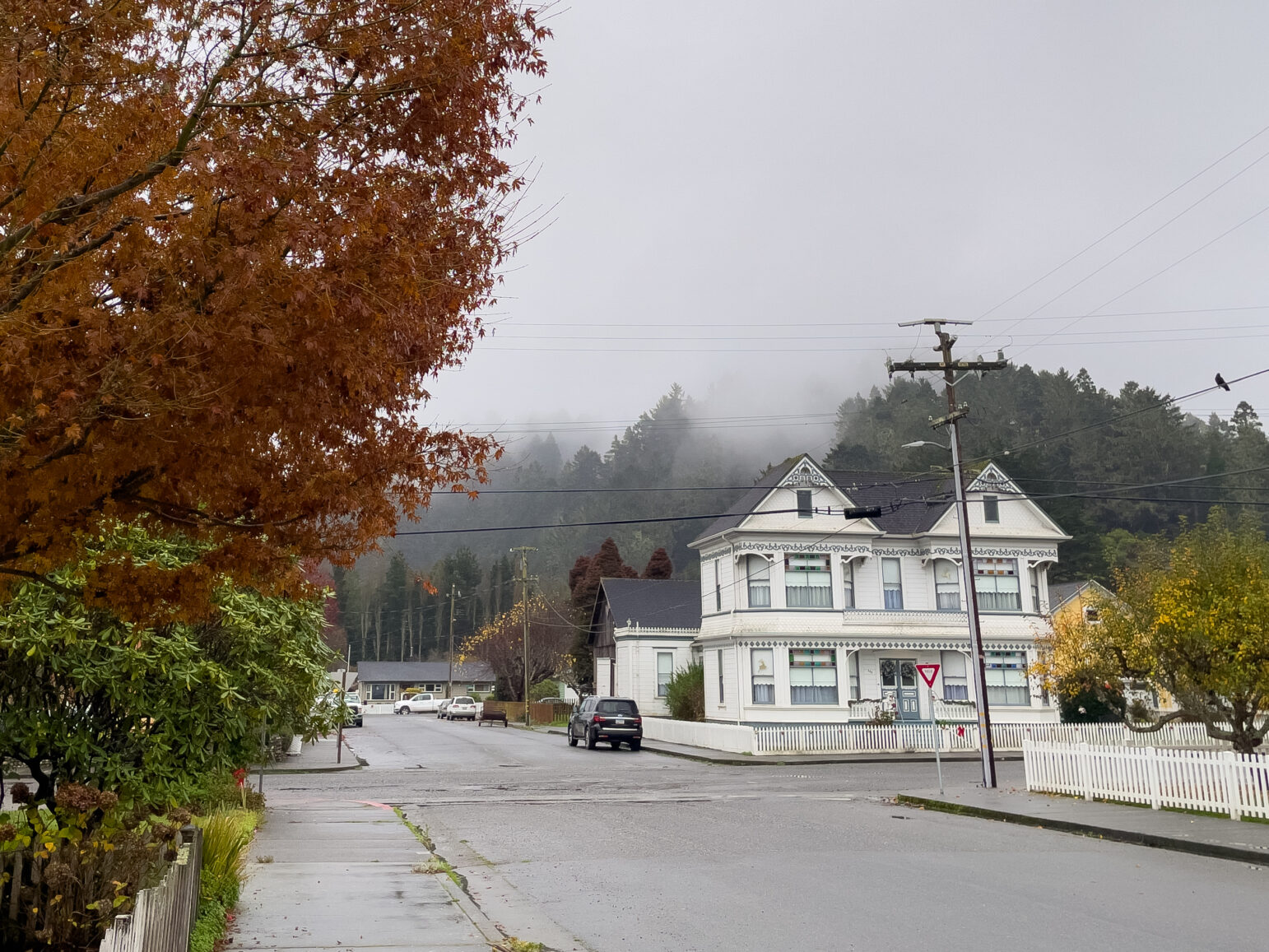 A foggy morning in Ferndale, California, featuring a historic Victorian-style house framed by autumn foliage and mist-covered hills in the background, with quiet streets and a white picket fence adding to the charm.