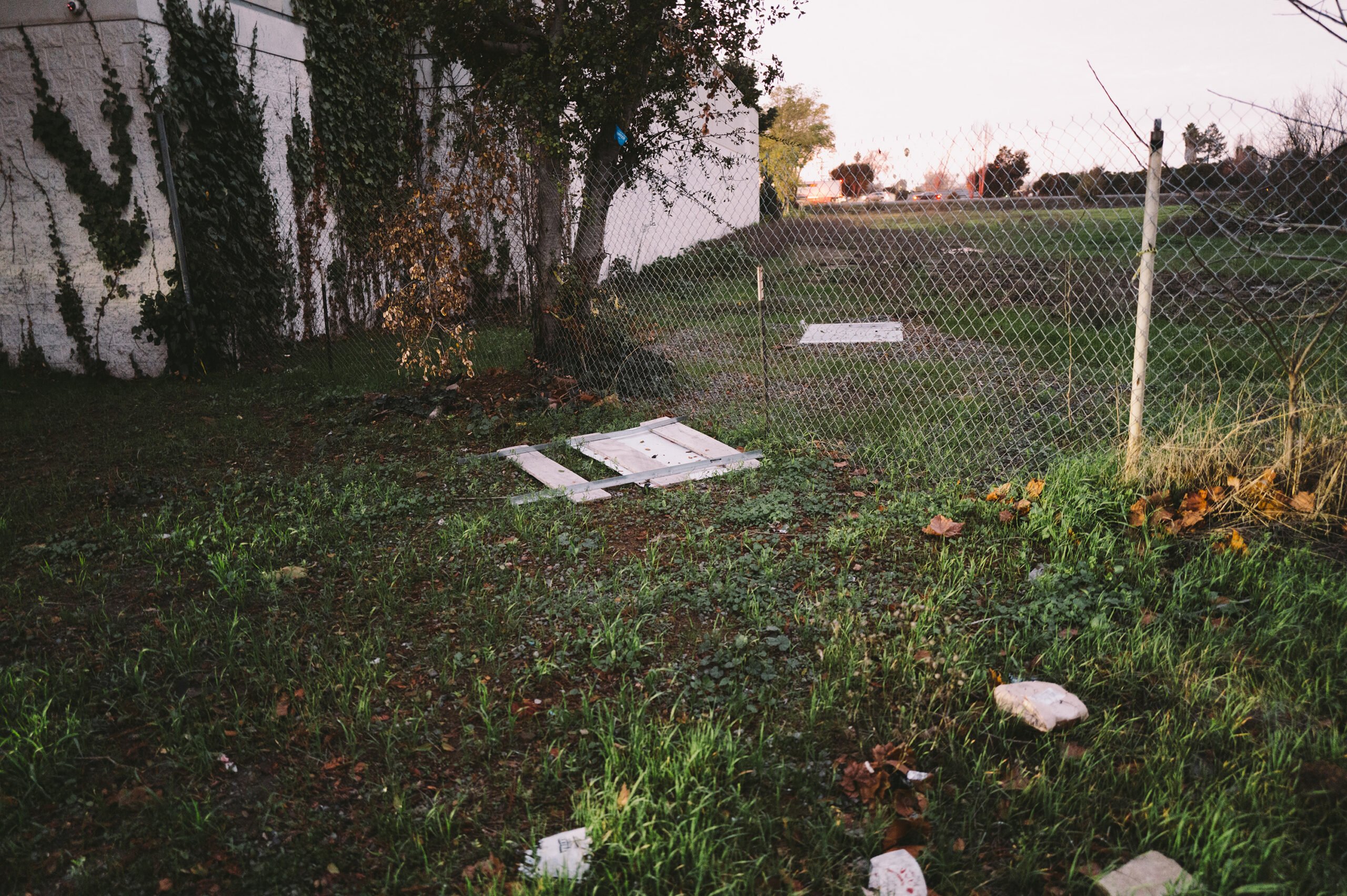 A chain-link fence with a broken section lying on the grass, surrounded by scattered debris and overgrown vegetation. Ivy climbs a nearby building wall, and an open, grassy lot extends into the distance under the soft light of dusk.