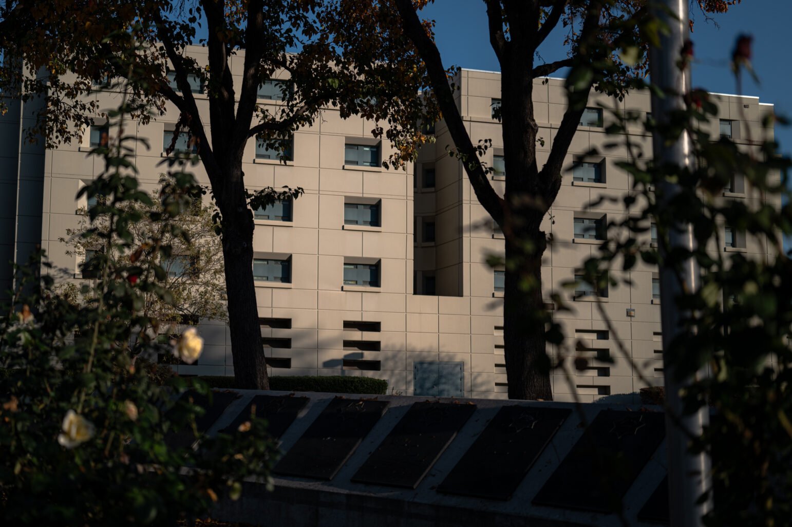 A beige, multi-story building with recessed windows stands behind two tall trees in the foreground. Rose bushes and plaques are partially visible at the lower edge of the frame, and the scene is lit by late-afternoon sunlight under a clear blue sky.