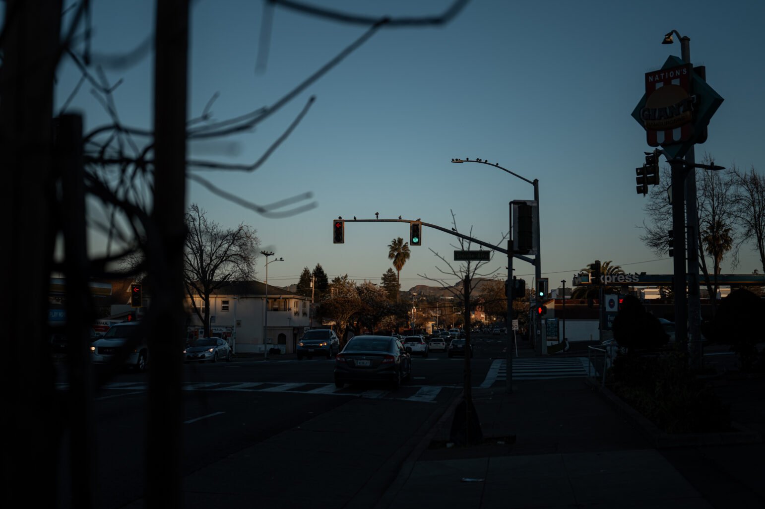 A city intersection at dusk or early evening with several cars driving through. In the middle distance, birds perch on a horizontal traffic light, and a tall palm tree is silhouetted against the sky. A “Nation’s Giant Hamburgers” sign stands on the right. Bare branches in the foreground partially frame the view, and low hills line the horizon in the background.