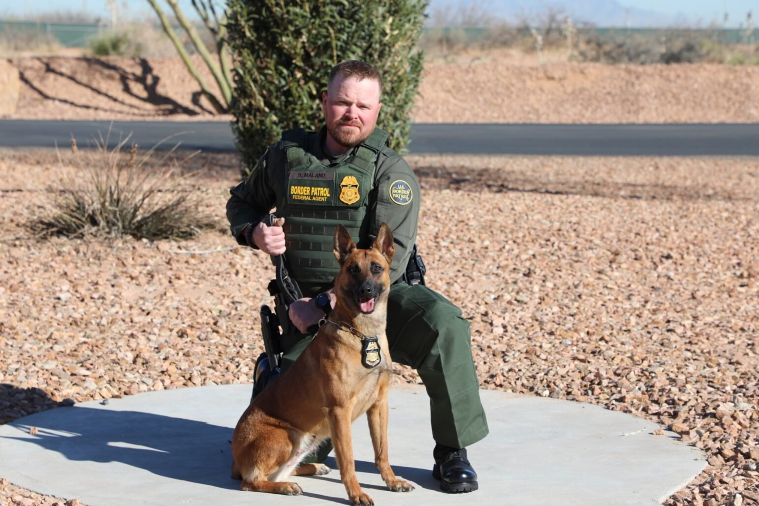 uniformed U.S. Border Patrol agent, dressed in a green tactical vest and pants, kneels on a concrete pad in a desert environment. He is posed beside a medium‐sized, tan‐and‐black working dog wearing a badge. Desert landscaping — rocks, sparse vegetation, and distant shrubs — forms the backdrop under a clear sky. The agent and dog both look toward the camera.