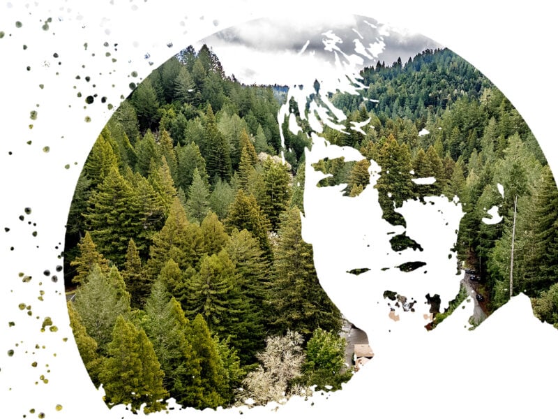 An artistic double-exposure-style graphic featuring dense green conifer trees in a circular frame. Overlaid in white is the silhouetted profile of a person’s face, creating a cutout effect where the forest scene is visible behind and within the facial shape. Speckled dots, resembling paint splatters, appear around the edges of the circle.