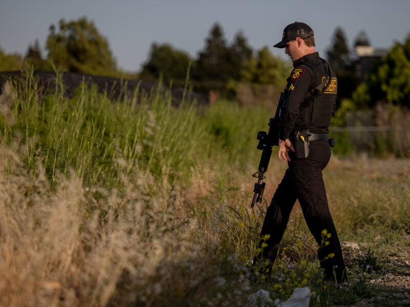 A uniformed sheriff’s deputy holding a rifle stands in tall grass, observing an area during daylight. He appears focused and attentive.