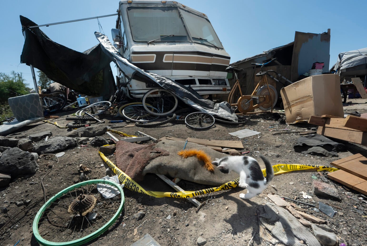 A cluttered outdoor space with an RV, bicycles, scattered debris, and yellow police tape. A small black-and-white kitten jumps near the crime-scene tape.