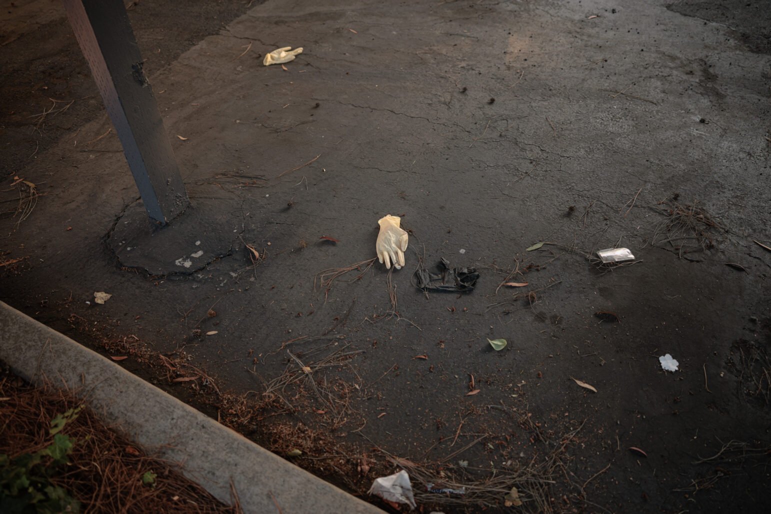 Ground-level view of asphalt beside a post, scattered with two light-colored disposable gloves, a crumpled black glove, pine needles, and small litter.