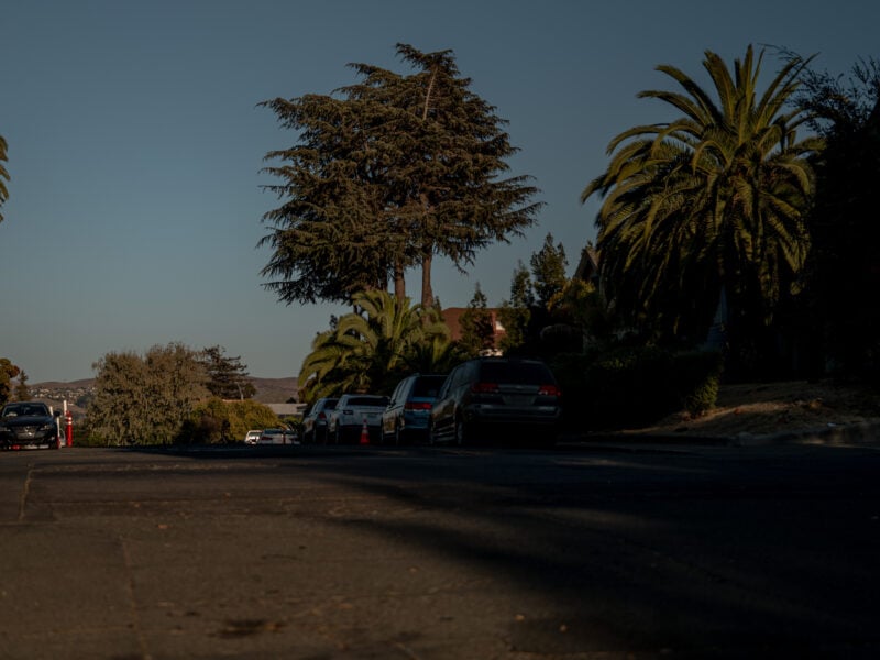 Low-angle view of a quiet residential street with parked cars and tall palm trees, late-afternoon light casting long shadows across the asphalt under a clear sky.